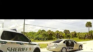 Lifelong Florida Thug With History Of Violence Attacks Police Officer
