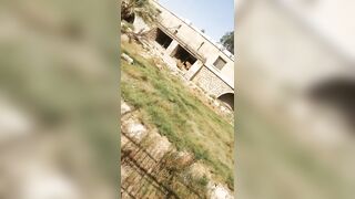 A Lion Kills A Man In An Indian Zoo