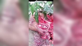 Machete Turns Human Body Into Bloody Mince 