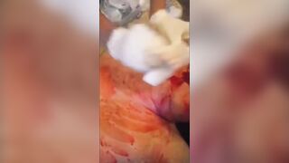 Man Stabbed In Violent Bar Brawl, Bleeding Like A Pig (full Video