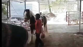 Man Almost Raped By Horse!