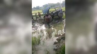 Indian Man Crushed By Tractor