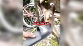 Man Tortures Possum With C Flip-flops