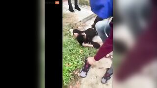 NY Police Investigate Viral Video Of High School Student P