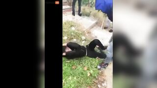 NY Police Investigate Viral Video Of High School Student P