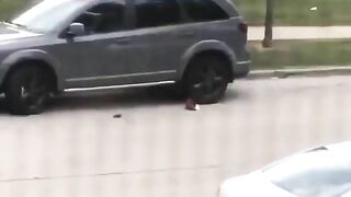 Disobedient Man Got Into Car And Was Shot By Police