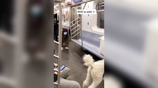 Oh Look Today's The Day You Take Your Bitch To New York For Work - Video -