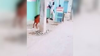 One-legged Man Bitten By Goat