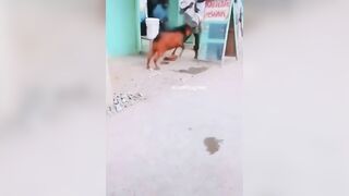 One-legged Man Bitten By Goat