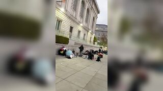 From The Outside, The Asian Museum Of San Francisco Looks Like A Landscape