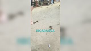 Nicaragua (New Angle) Prices For Playing Bulls TheYN