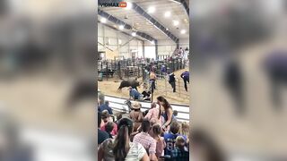 Raging Bull Jumps Into Crowd At Florida State Fairgrounds In California