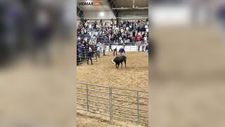 Raging Bull Jumps Into Crowd At Florida State Fairgrounds In California