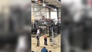 Raging Bull Jumps Into Crowd At Florida State Fairgrounds In California