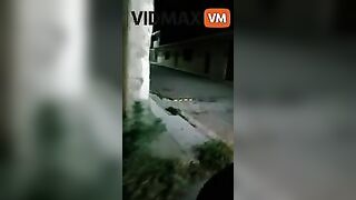 Shocking Video - Stray Dog ​​with Human Head Shot In Zakat