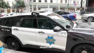San Francisco Art Gallery Owner Arrested 
