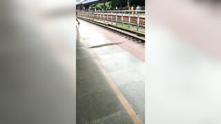 Snake Committed Suicide On The Train!