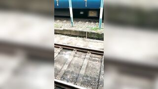 Snake Committed Suicide On The Train!