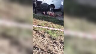 The Stray Dog ​​bit The Woman To Death. Astrakhan, Russia 