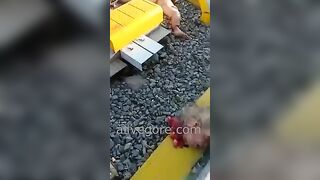 Suicide On The Railroad, Divided Into Several Parts And Uncensored