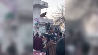 Taliban Hangs Hashim's Body On Building For Public Display