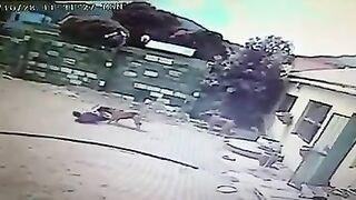 A Thief Bitten By Two Dogs After Attack