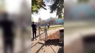 Two Families Clash In Park - Video - VidMax.com