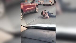 Two Idiots Get Into A Scuffle In Road Rage Incident