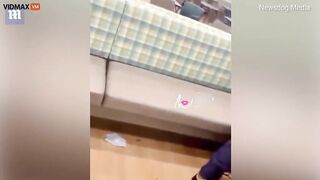 Two Nurses Engage In All-out Brawl At Hospital