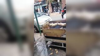 WTF Asian Woman Filming Grilled Rat On Northern Kebab Shop