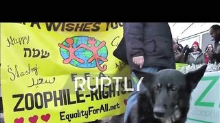 WTH Germans Protest Over The Right To Have Sex With Pets