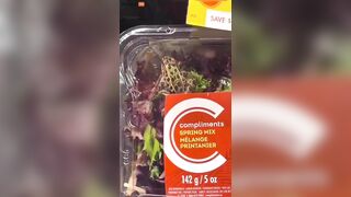 Woman Finds Live Frog In Supermarket Salad - Video