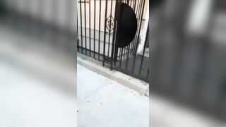 A Woman Puts Her Hand On NYPD Officer P During An Arrest