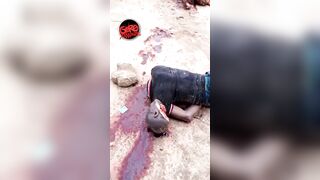 African Villager Beheaded In His Own Yard 