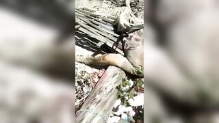 Brazilian Driftwood 