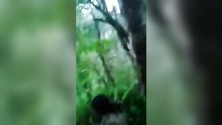 Brutal Beatings And Killings In The Jungle 