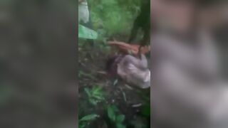 Brutal Beatings And Killings In The Jungle 