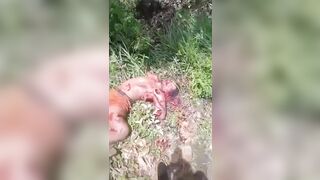 Brutal Shooting Of Opponent's Corpse 