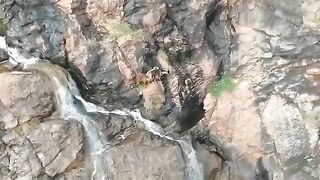 Climber Falls Off Mountain 