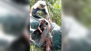 Face Severed By Car Frame 