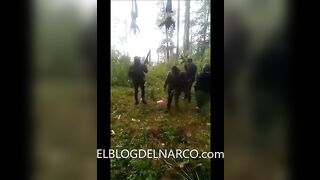 Free Chapo 