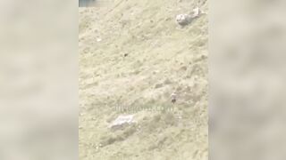 Guy Falls From Zipline 