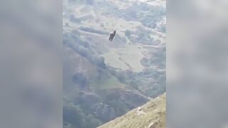 Guy Falls From Zipline 