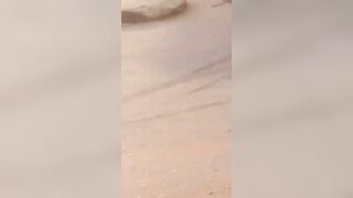 Hit By Truck And Head Blown Off 