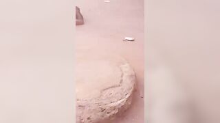 Hit By Truck And Head Blown Off 