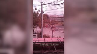 Bow: First Suicide By Falling From Pedestrian Bridge 