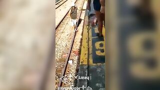 Leg Destroyed In Train Accident 