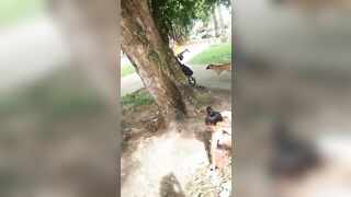 Man Brutally Stabbed Multiple Times 