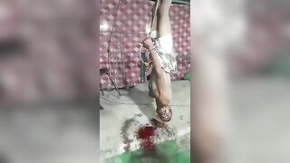 Man Falls To The Ground Bleeding 