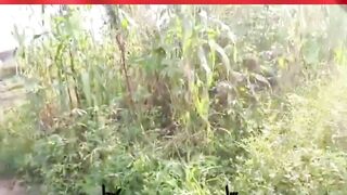 Man Punished With Stones By Mob 